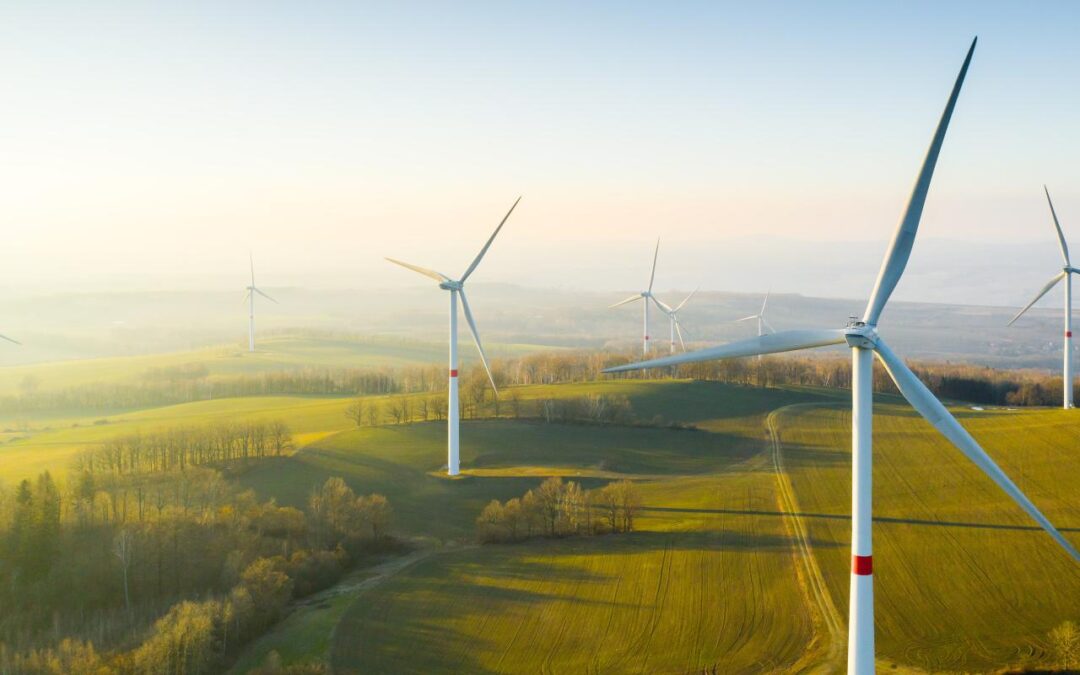 Digitalización de ayuntamientos rurales en España